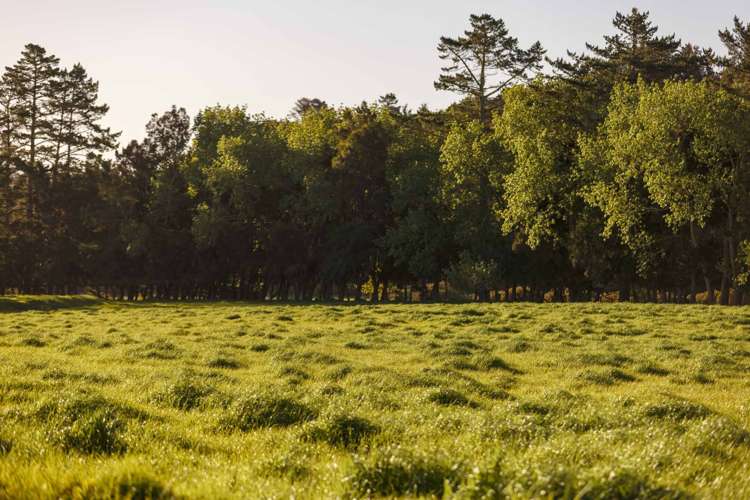 10 Wallbank Way Mangawhai_12