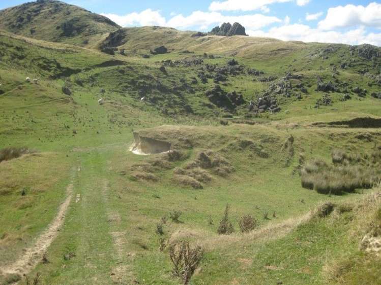 858 Oporae Road Waione_21