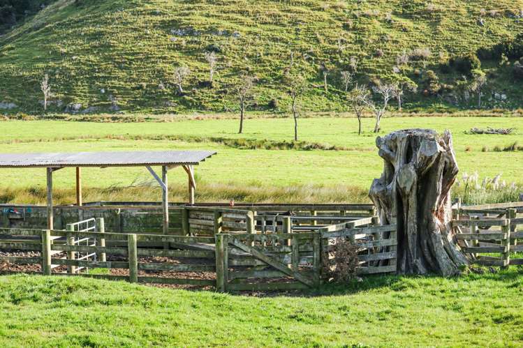 461 Goughs Road Goughs Bay_11