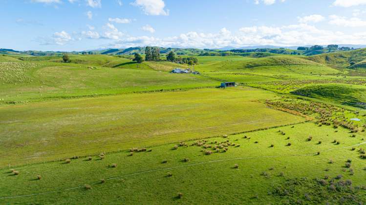 Kaitawa Road Pahiatua_6