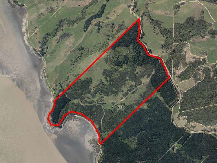 167 Summer Road Tinopai_54