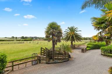 33 Jamieson Road_3