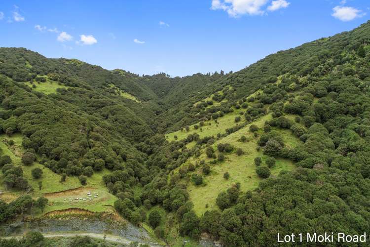 Lot 1 Moki Road, Tahora Taumarunui_17