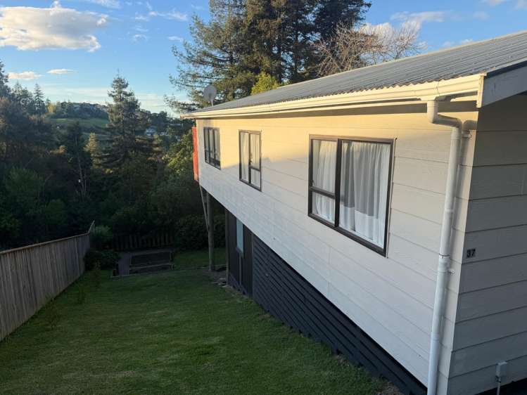  37 Montcalm Street_0