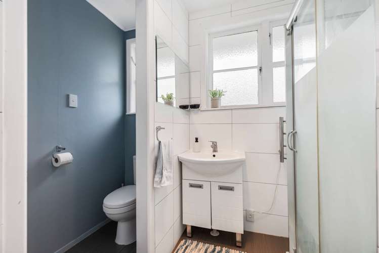 29 Astley Avenue New Lynn_13