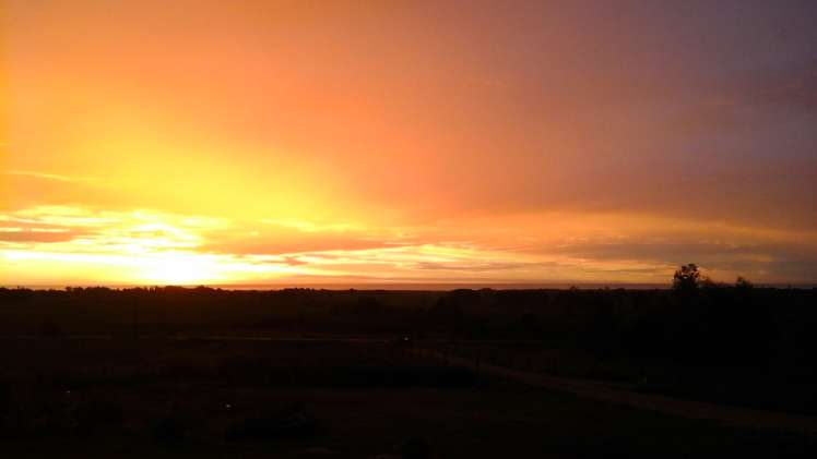 368 Oparara Loop Road Karamea_20