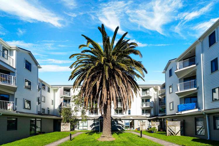 C17/13 Palm Grove Berhampore_7