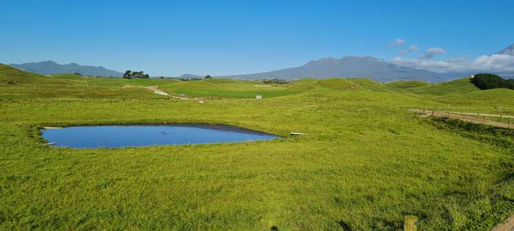 331 Warea Road Warea_17