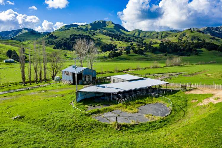 76 Driver Road Dargaville Surrounds_14