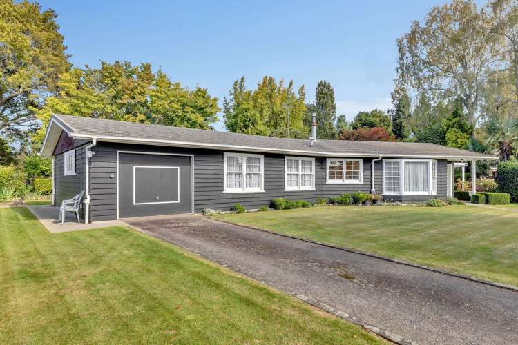 1 Nansen Place Levin_24