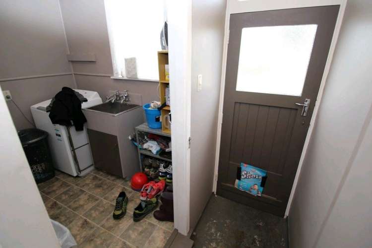 20 Ward Street Bulls_47