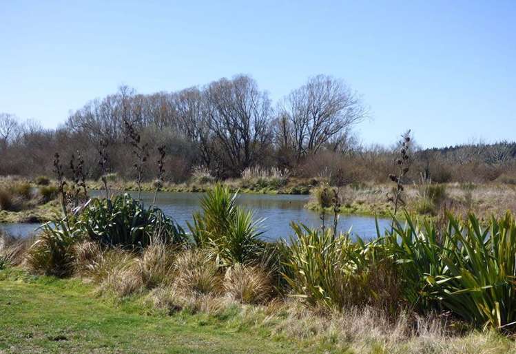 77 Te Hurunui Drive Pegasus_6