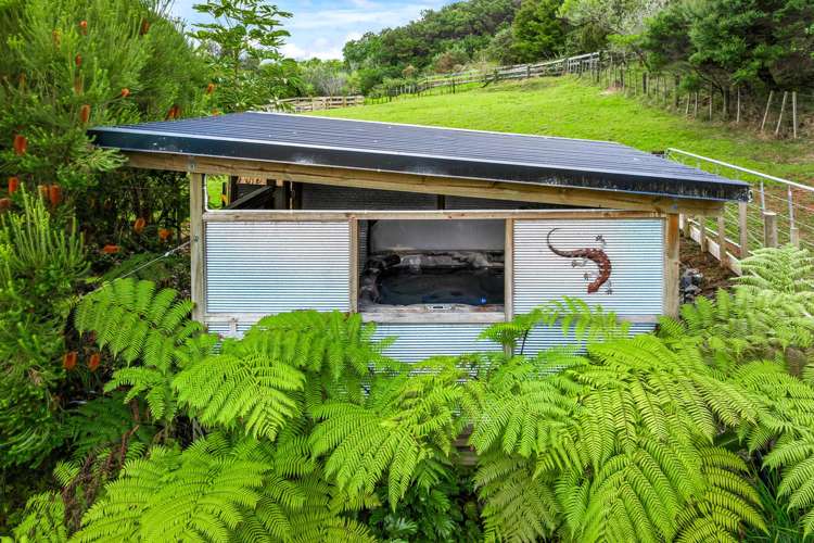 93 Falls Road Warkworth_25