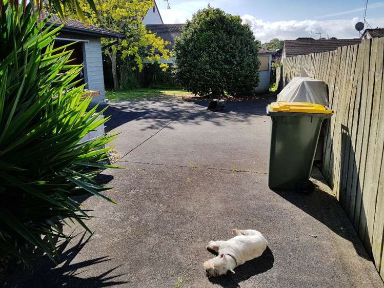 69 Shakespeare Road Milford_2