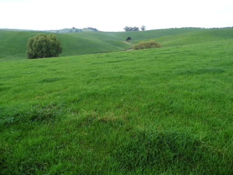 191 Cowans Road Enfield and Surrounds_6