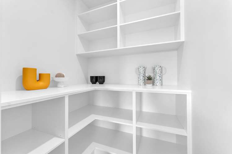 5 Netu Lane Pokeno_6