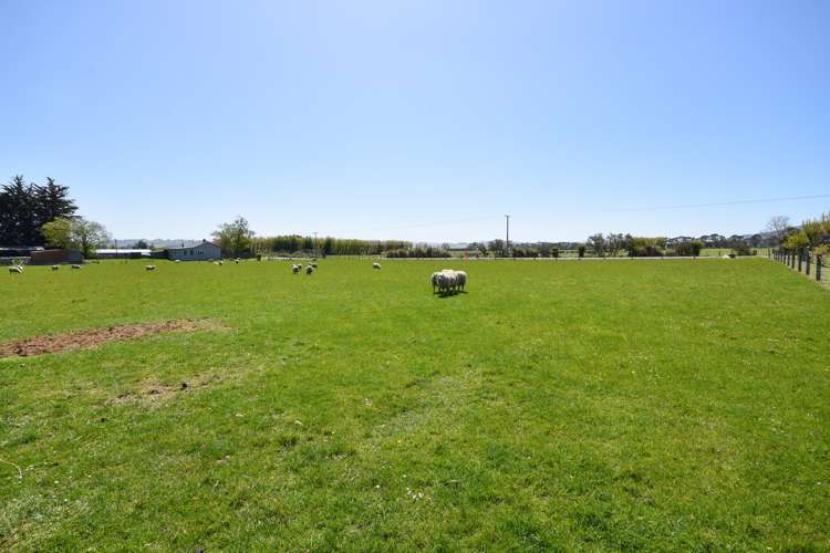 119 Springfield Road Milton_28