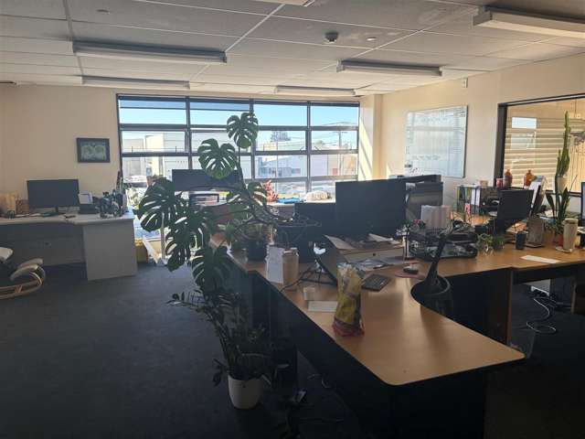 20D Helanca Avenue Wainoni_4