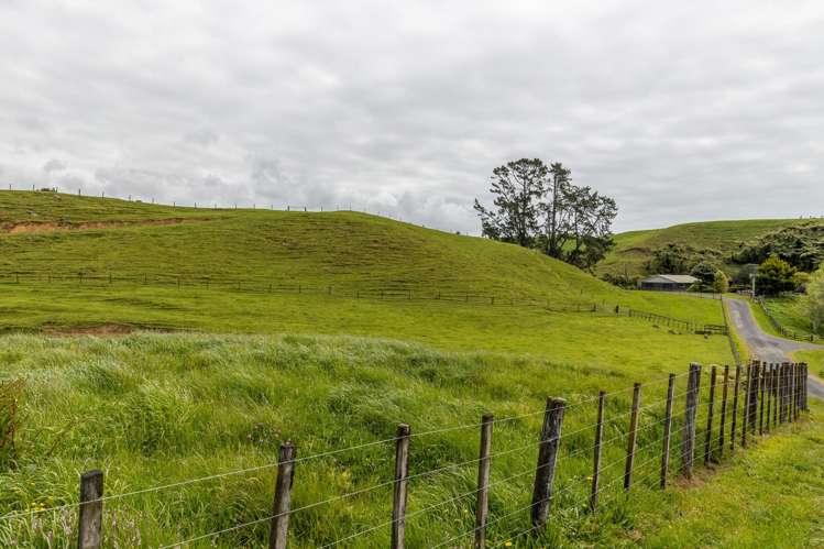 79 Dorset Road Hillsborough_40