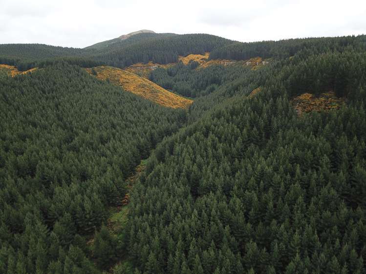 Palmerston-Waikouaiti Road Palmerston_7