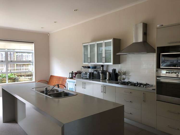 5 Seresin Crescent Flat Bush_4