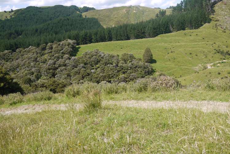 121 Guy Road Kaipara Flats_20