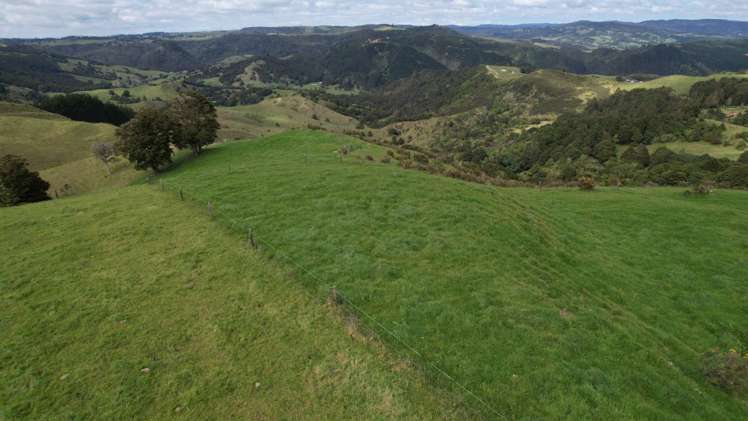 State Highway 10 Kaeo_8