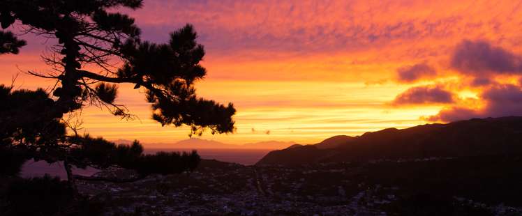 62a Buckley Road Southgate_16