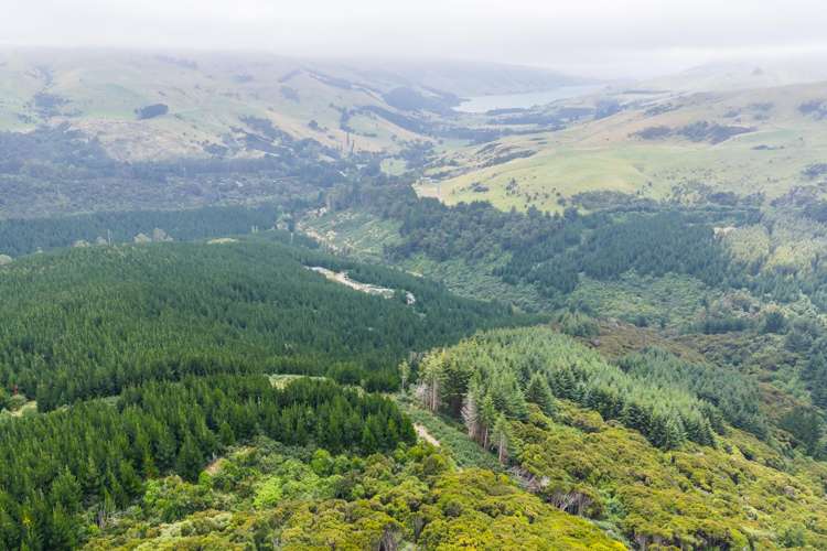 226 Middle Road Pigeon Bay_21