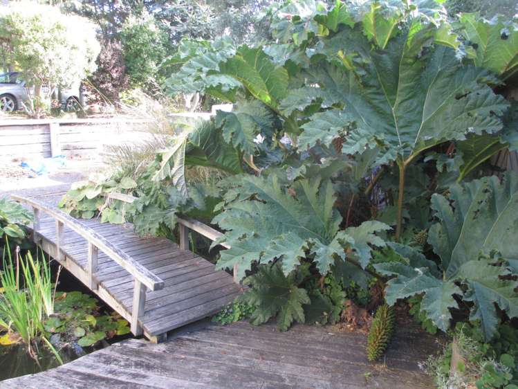 250a Clyde Street Balclutha_16