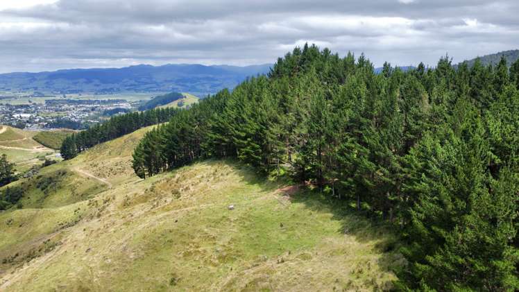 Waitete Road Waihi_19