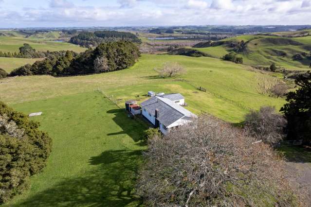 403 Hall Road Rangiriri_3