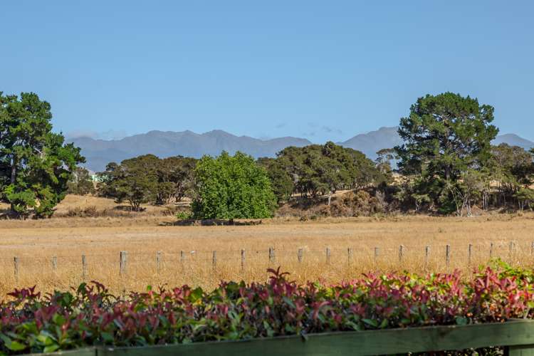 692 State Highway 2 Opaki_15