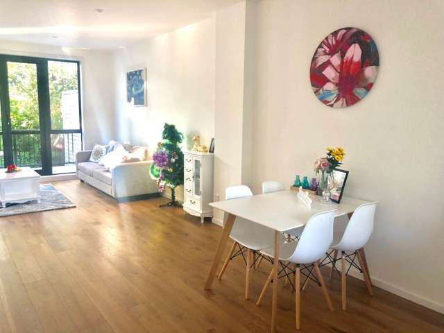 15/17 Lyon Avenue Mount Albert_2