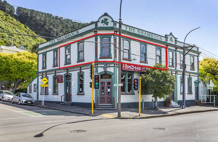 230b Tinakori Road Thorndon_9