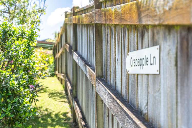 23 Speranza Avenue Otaki_26