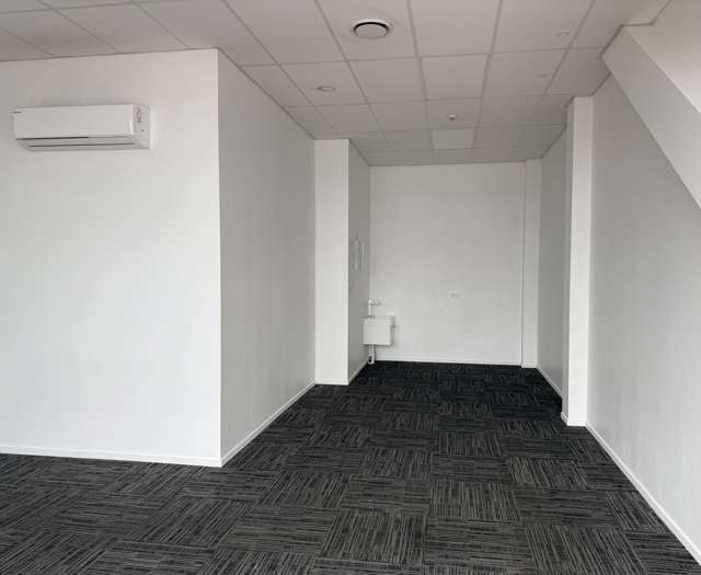 L1/95 Riccarton Road Riccarton_4