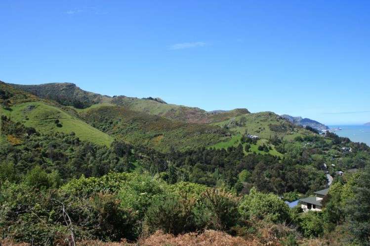 30 The Terrace Governors Bay_11