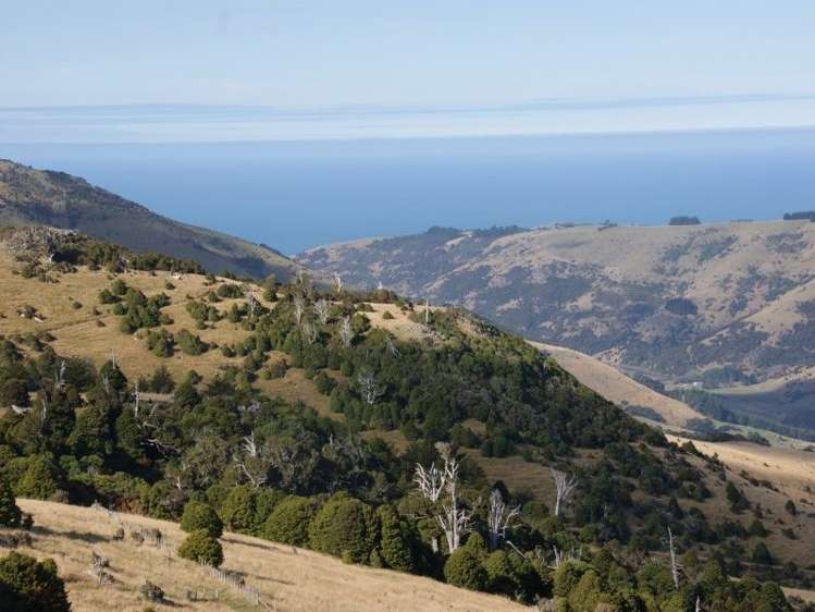 5080 Summit Road Le Bons Bay_8