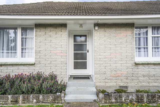 1/47 Tennyson Street Petone_4