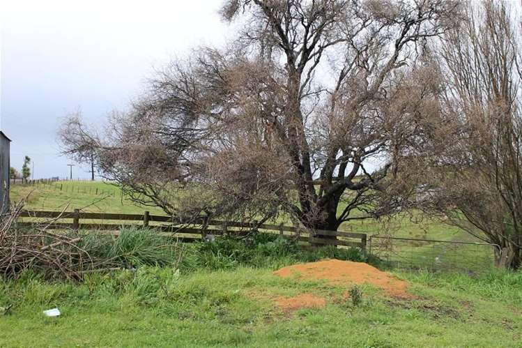 570 Tinopai Road Tinopai_17