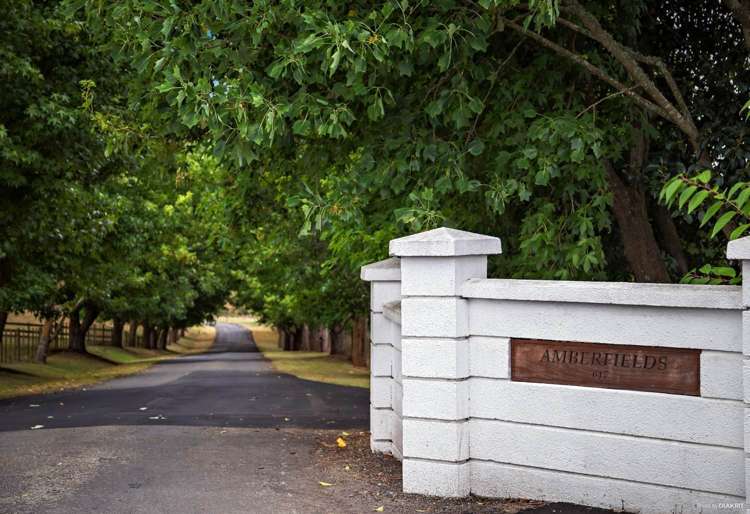 639b Runciman Road Runciman_6