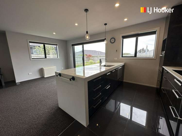 8 Hilltop Crescent Corstorphine Dunedin City Houses for Rent