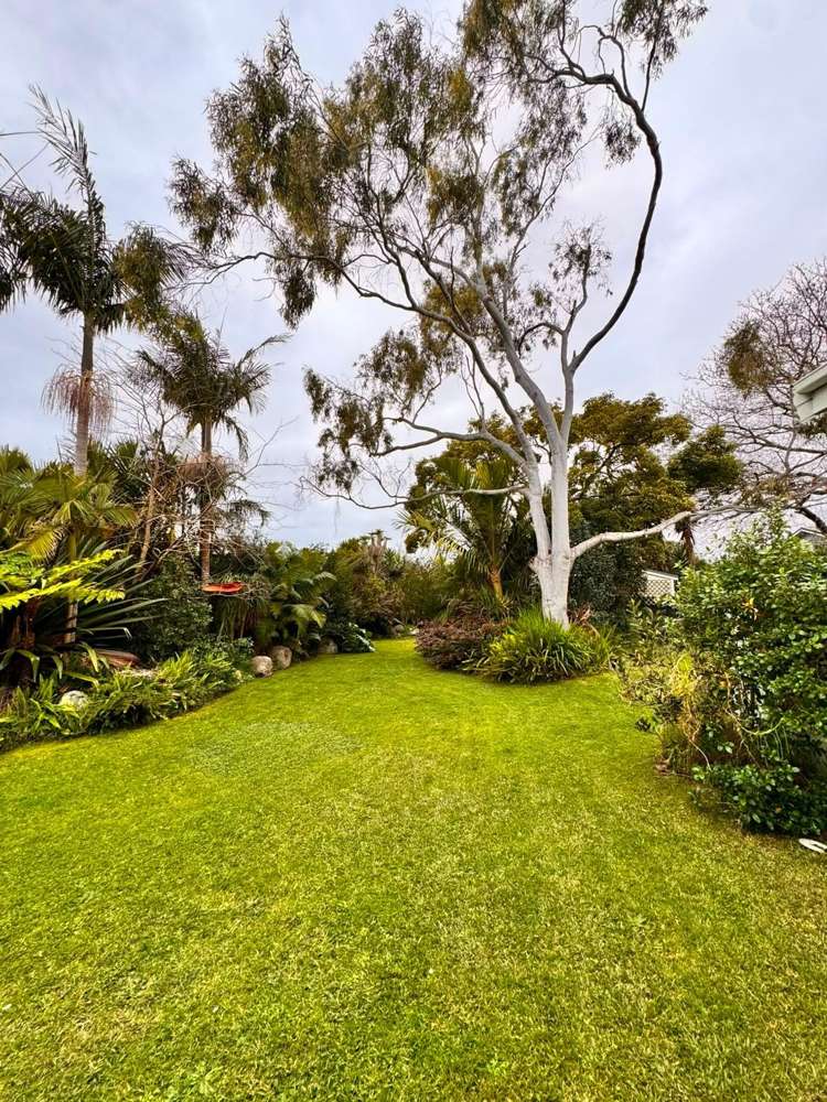  23 Pasadena Avenue Point Chevalier_21