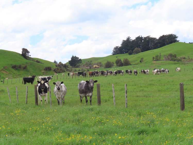 87 Otanga Road Dannevirke_6