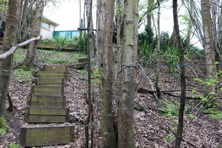 41 & 43 Johnston Road Nightcaps_8