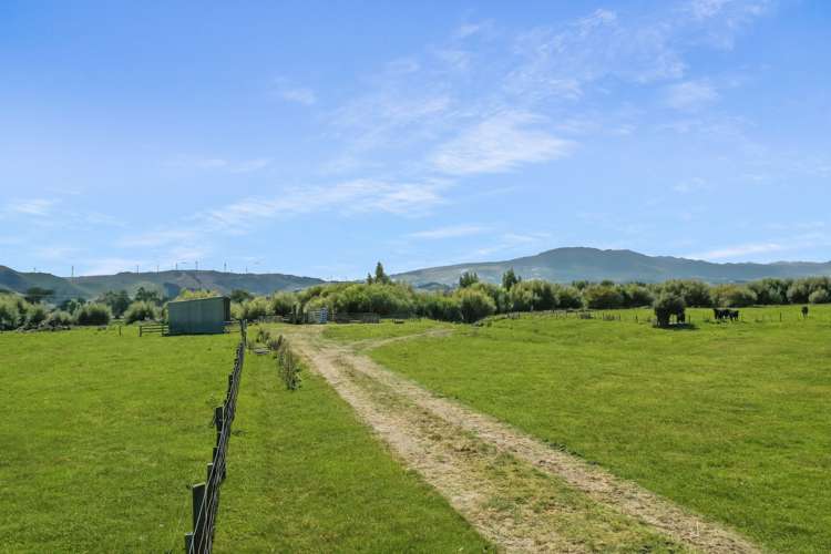 Broomfield Road Woodville_3