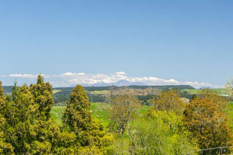 344 Palmer Mill Road Wairakei_35