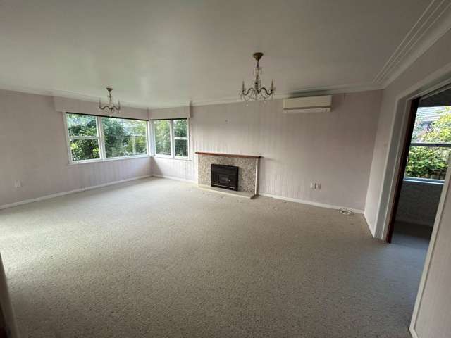 14 Williams Avenue Pakuranga_3