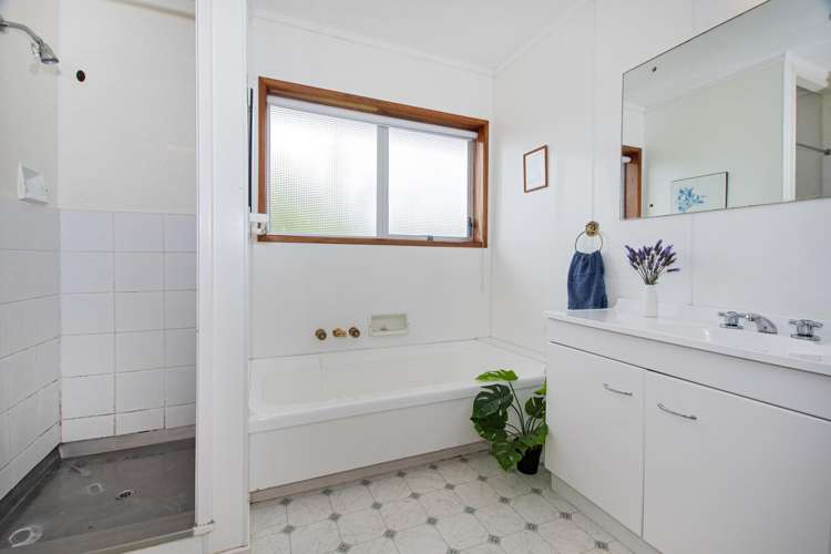 12 Windsor Avenue Te Kamo_12